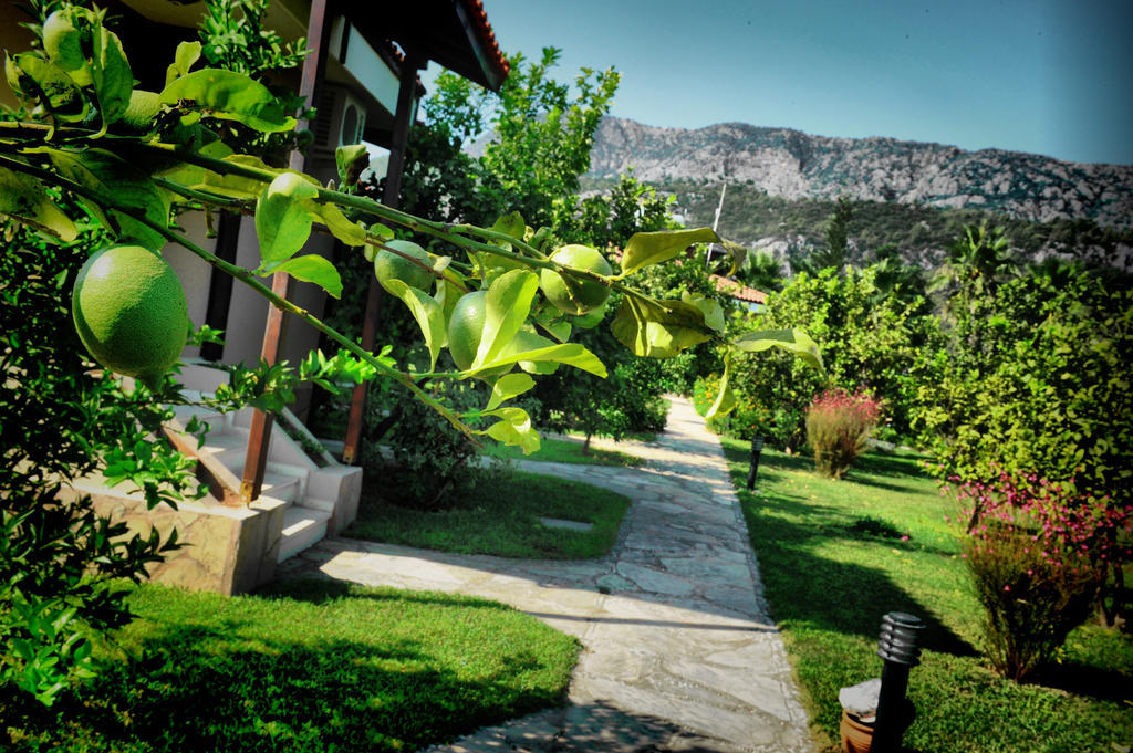 Nerissa Hotel Çıralı Ngoại thất bức ảnh