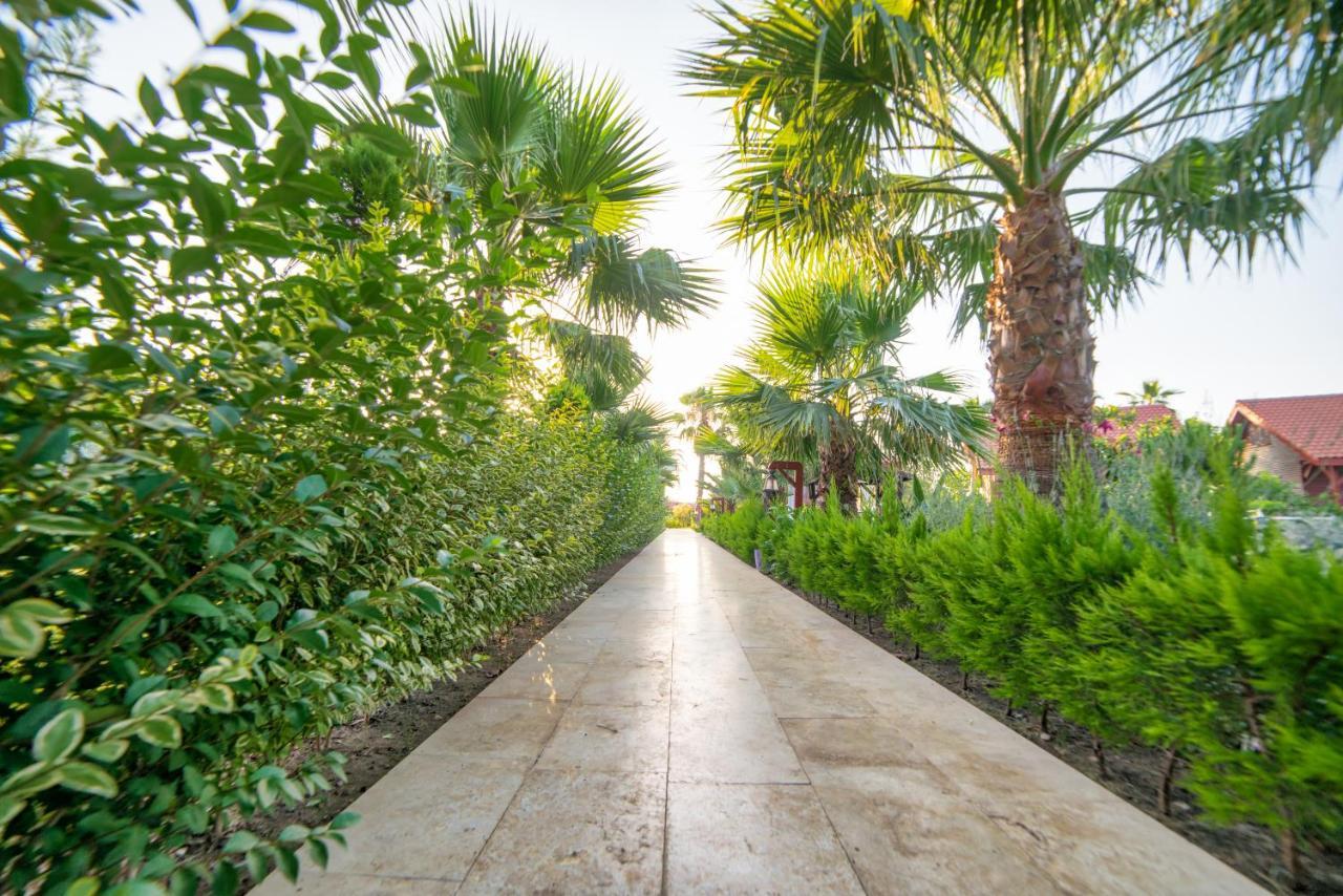 Nerissa Hotel Çıralı Ngoại thất bức ảnh